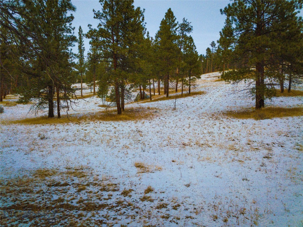 40 Acres American Bar Road Property Photo 48