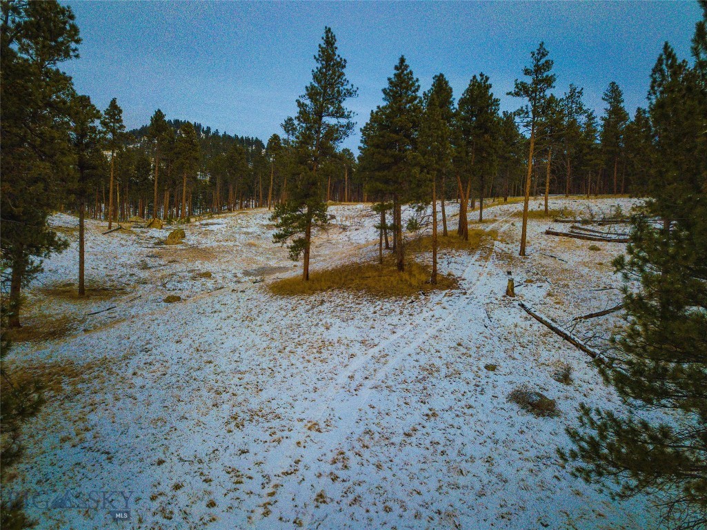 40 Acres American Bar Road Property Photo 49