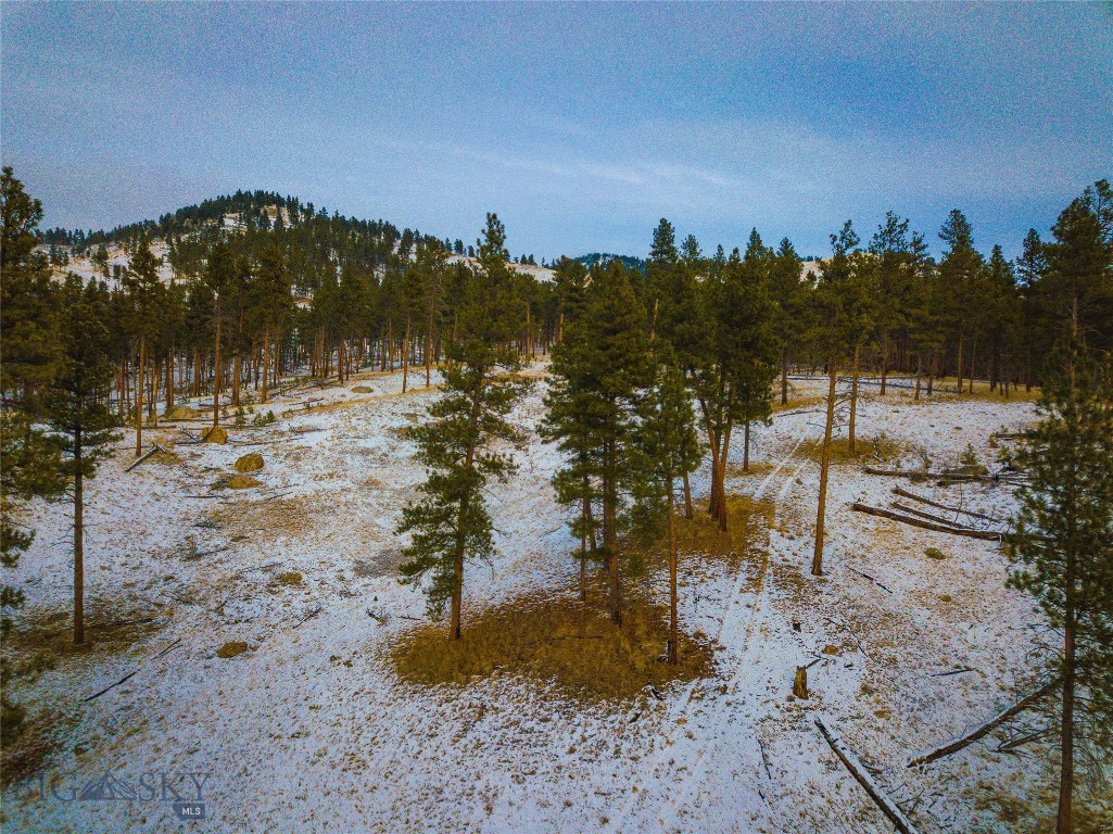 40 Acres American Bar Road Property Photo 50