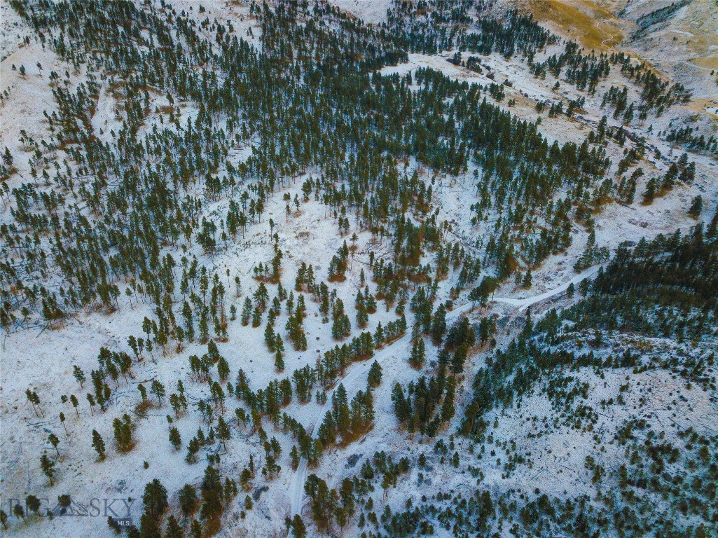 40 Acres American Bar Road Property Photo 53