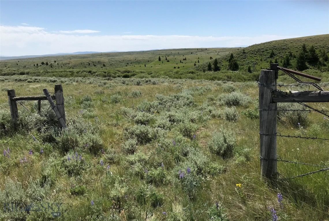 40 Mike Day Drive Property Photo 1