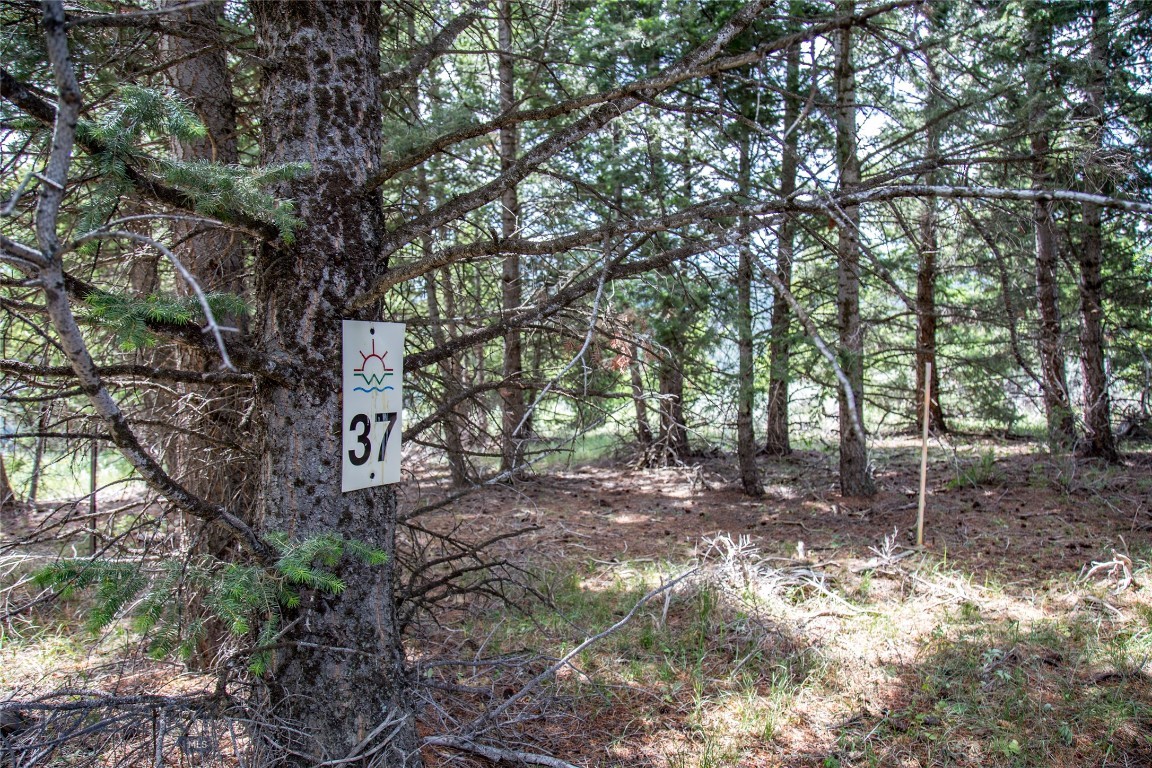Lot 37 Sun West Ranch Property Photo 1