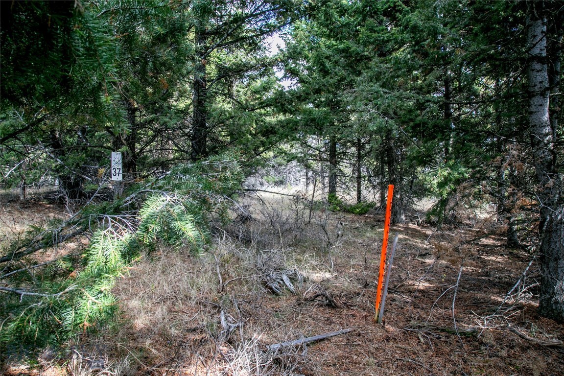 Lot 37 Sun West Ranch Property Photo 5