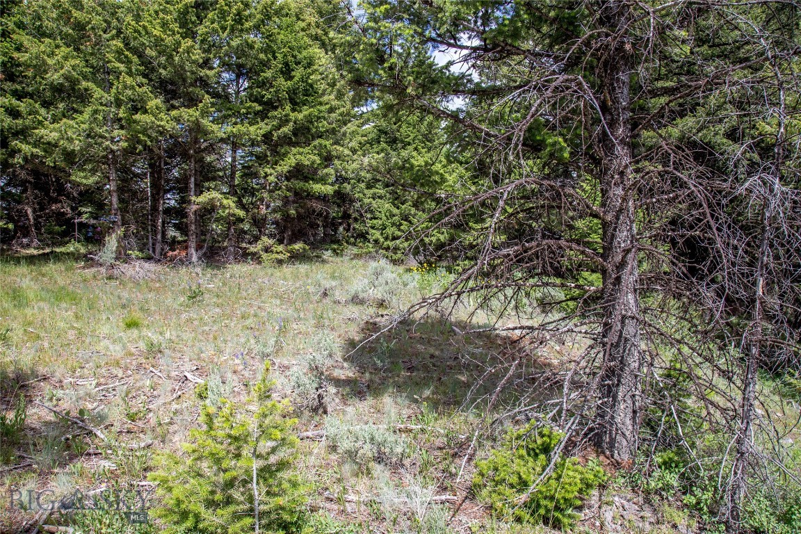Lot 37 Sun West Ranch Property Photo 13