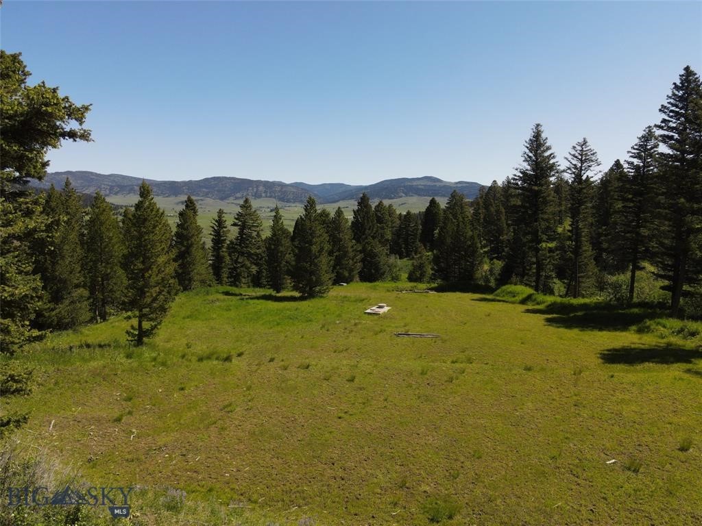 770 Mountain Moose Road Property Photo 11