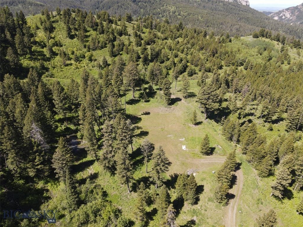 770 Mountain Moose Road Property Photo 12