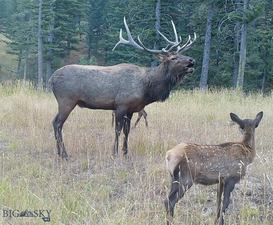 770 Mountain Moose Road Property Photo 13