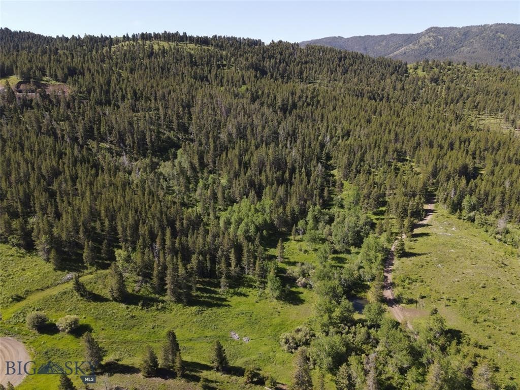 770 Mountain Moose Road Property Photo 21