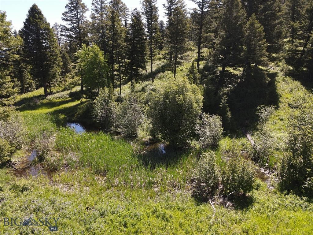 770 Mountain Moose Road Property Photo 22