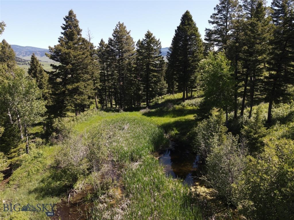 770 Mountain Moose Road Property Photo 27