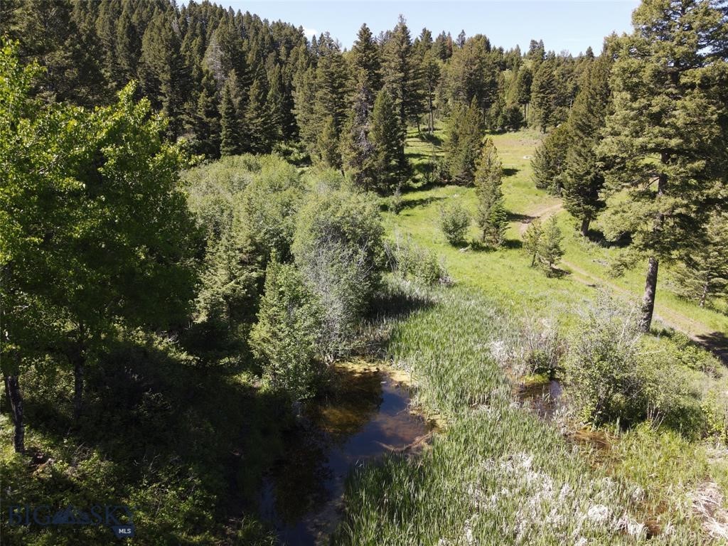 770 Mountain Moose Road Property Photo 28