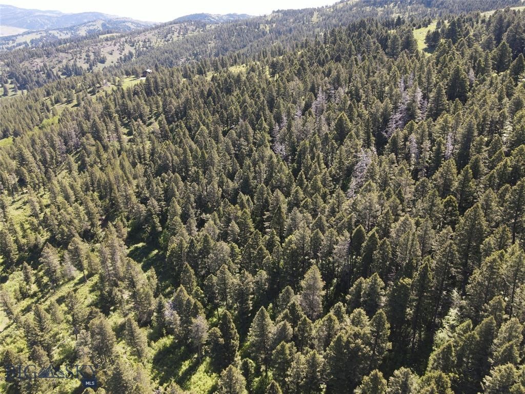 770 Mountain Moose Road Property Photo 29