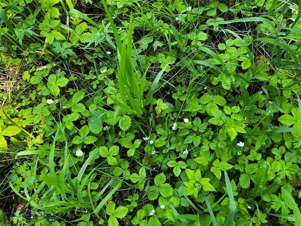 770 Mountain Moose Road Property Photo 31