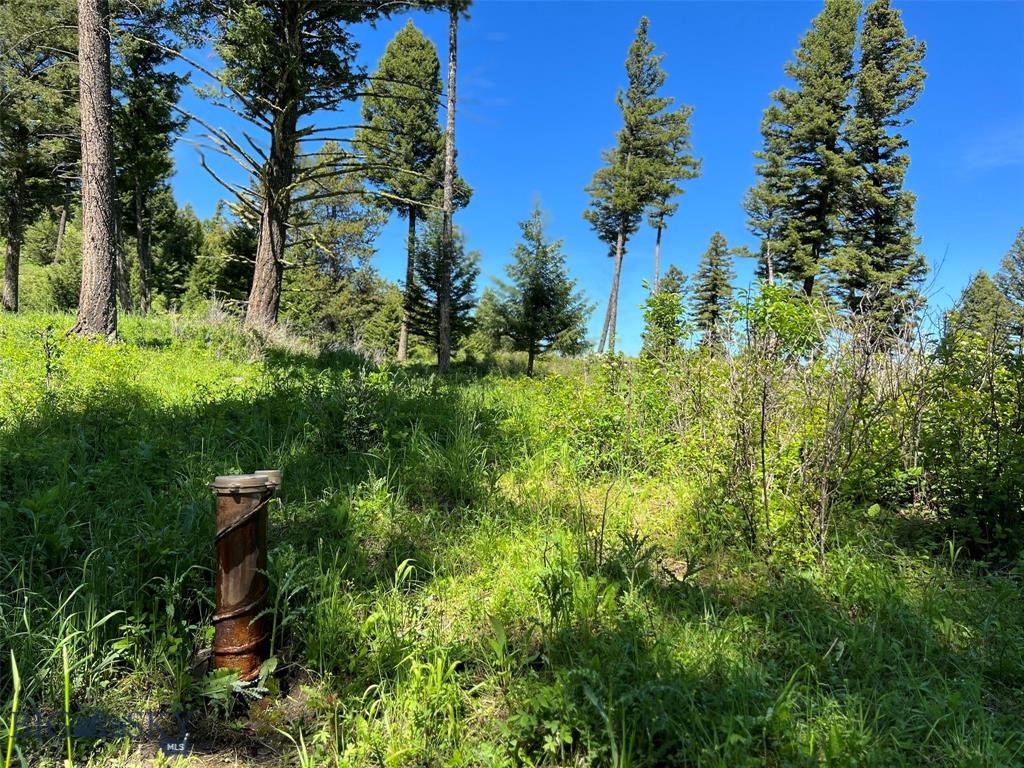 770 Mountain Moose Road Property Photo 33