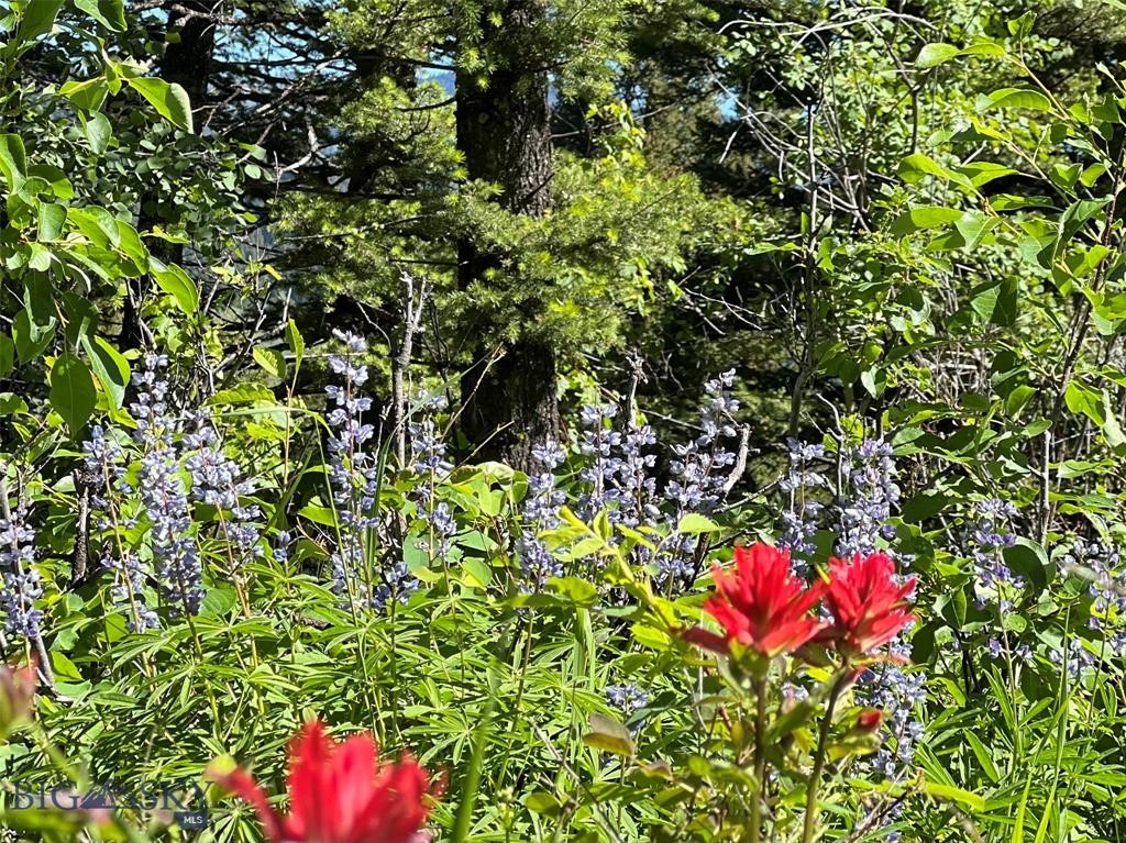 770 Mountain Moose Road Property Photo 34