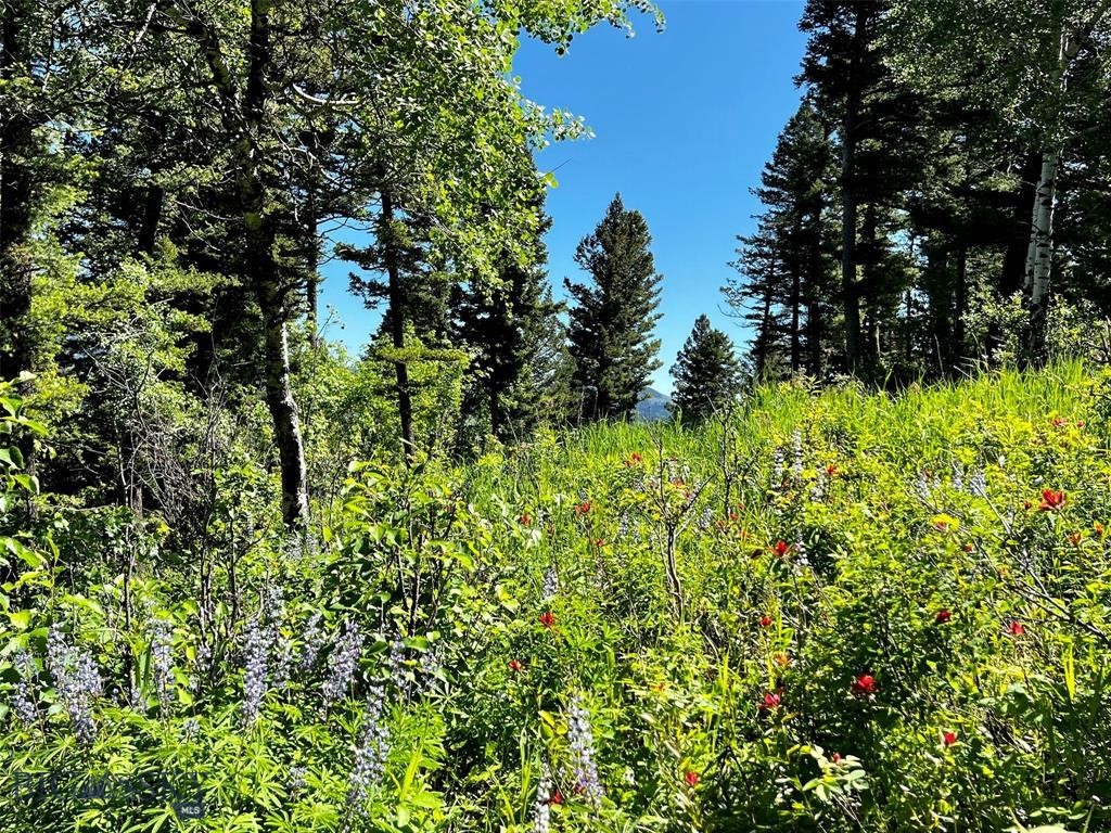 770 Mountain Moose Road Property Photo 35