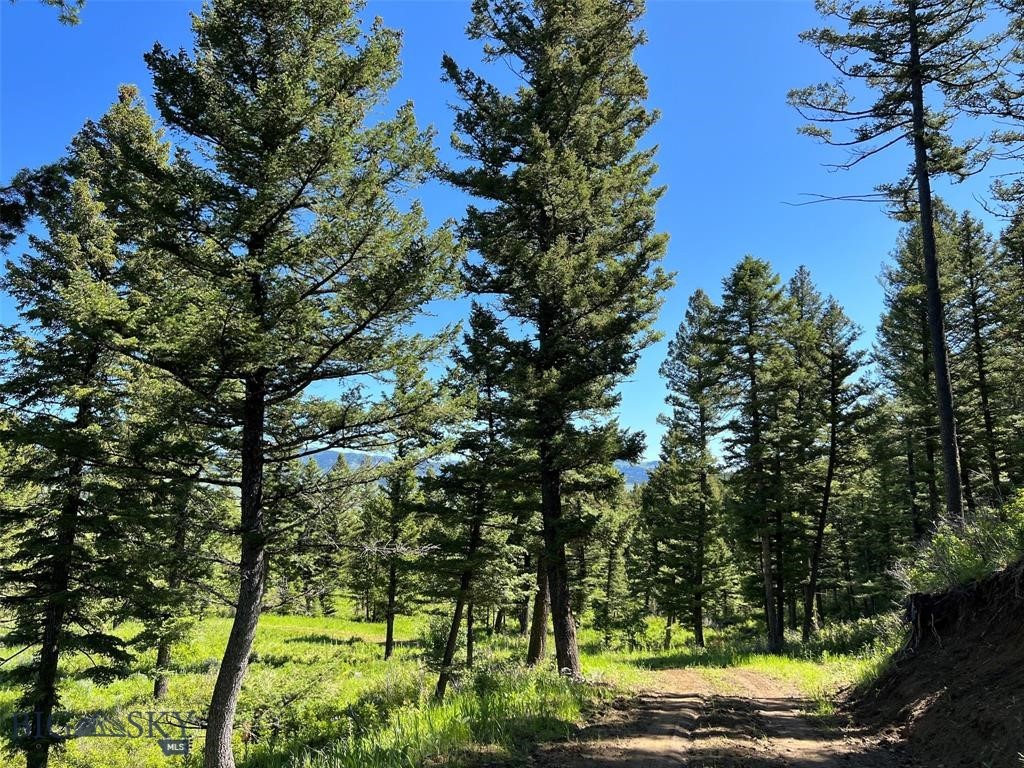 770 Mountain Moose Road Property Photo 36