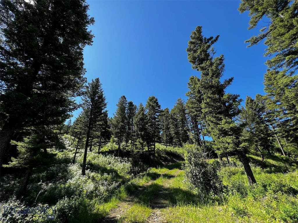 770 Mountain Moose Road Property Photo 38