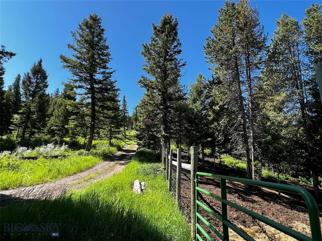 770 Mountain Moose Road Property Photo 39