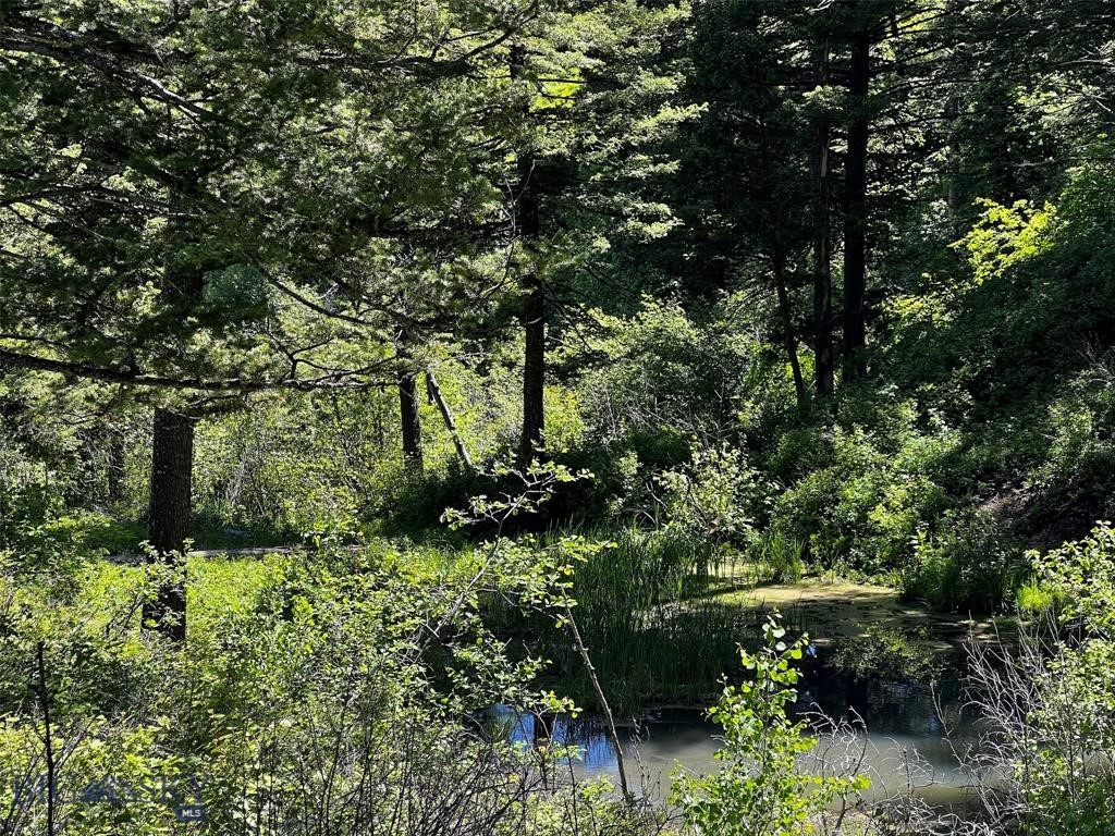 770 Mountain Moose Road Property Photo 42