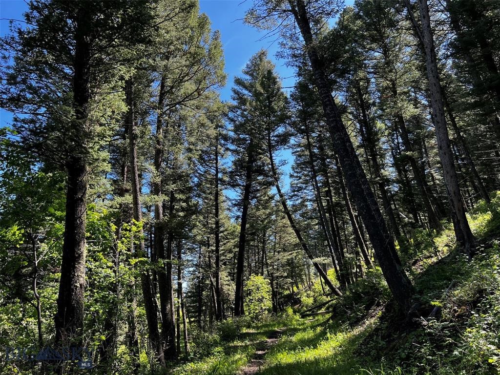 770 Mountain Moose Road Property Photo 43