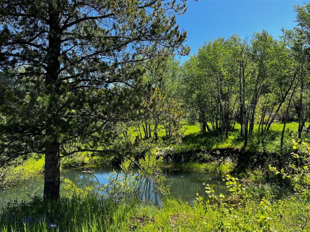 770 Mountain Moose Road Property Photo 44