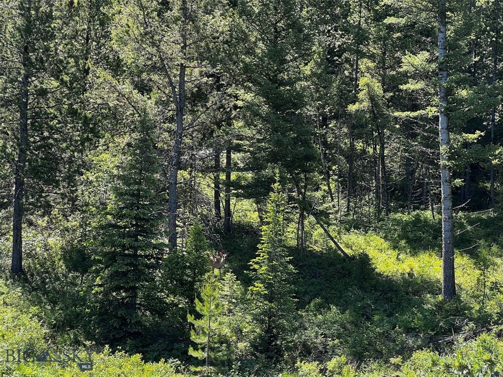 770 Mountain Moose Road Property Photo 45