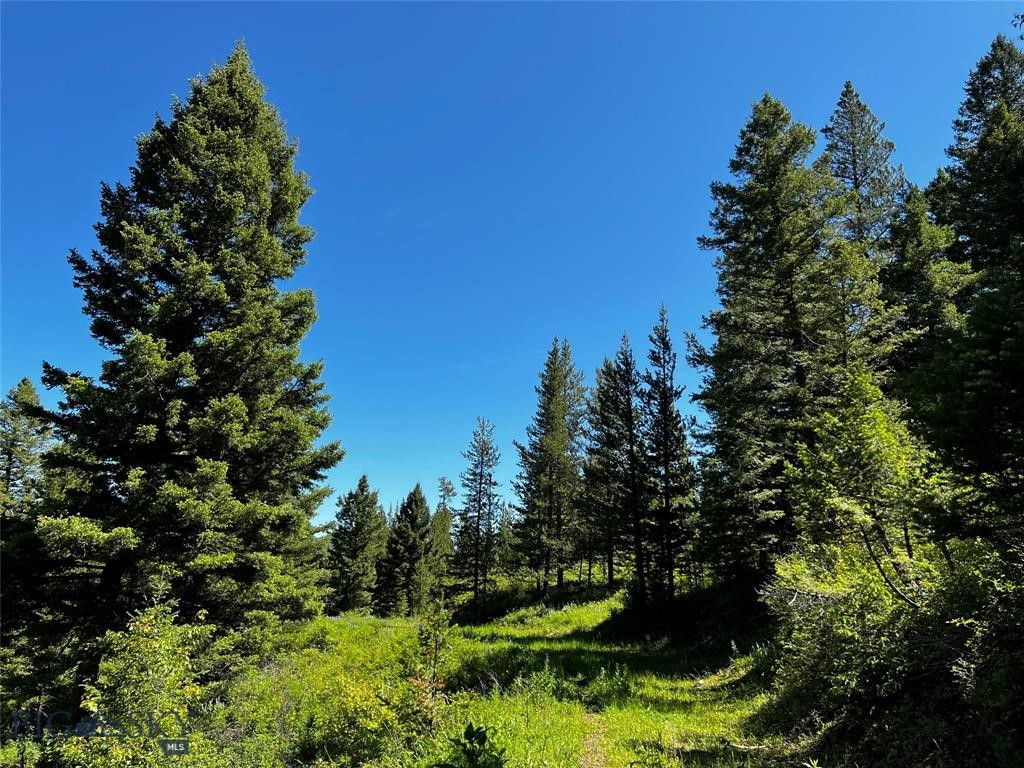 770 Mountain Moose Road Property Photo 46