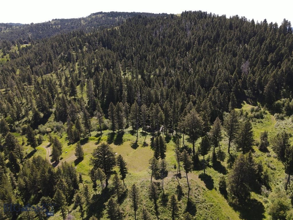 770 Mountain Moose Road Property Photo 50