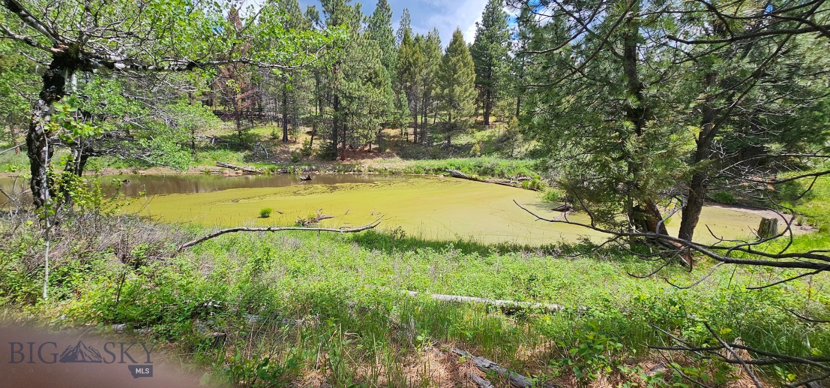 12 Hall Creek Tracts Property Photo