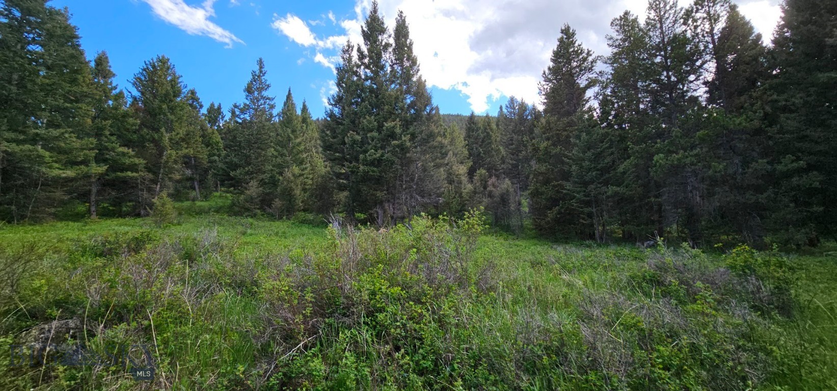11 Hall Creek Tract Property Photo