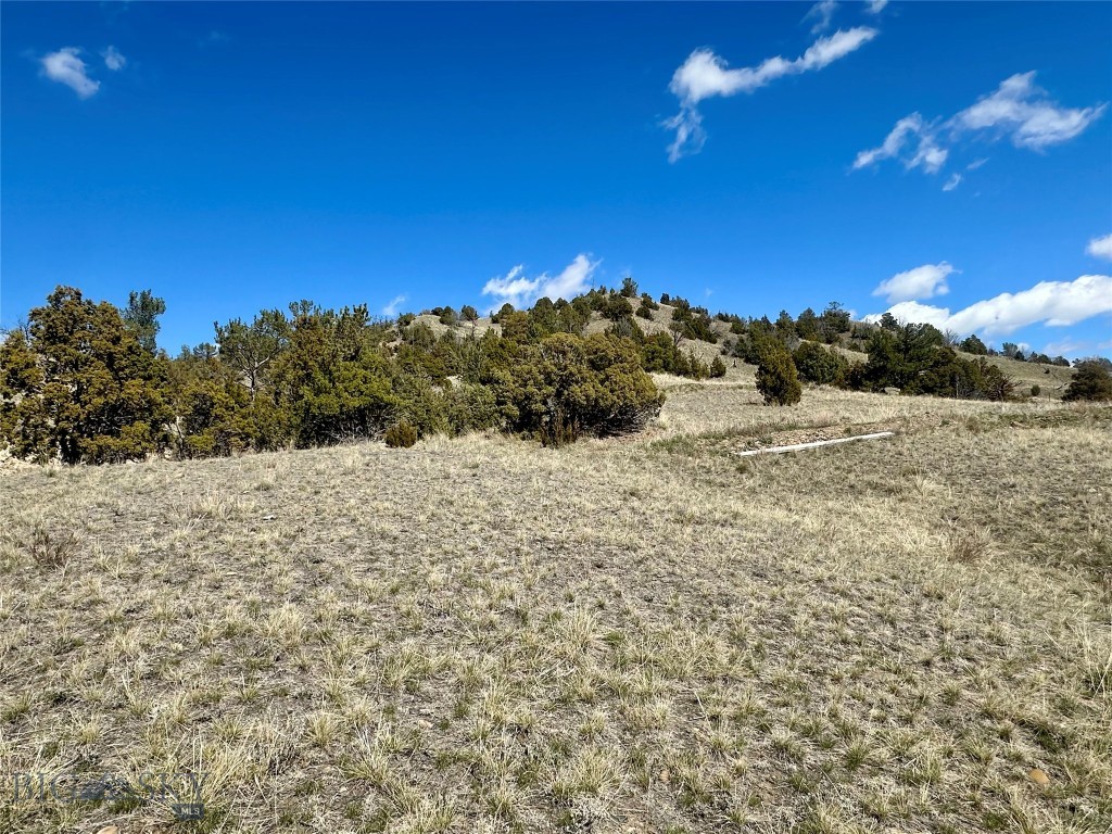 12193 Old Coach Road Property Photo 27