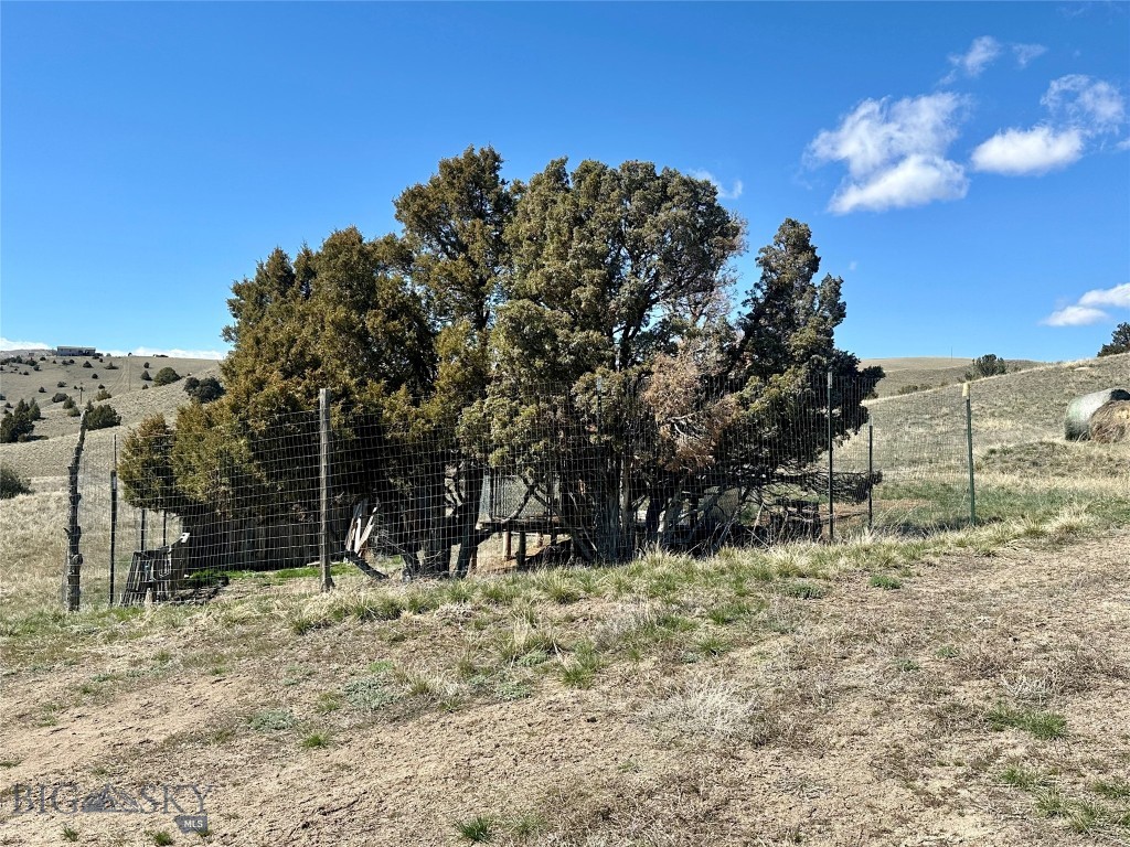 12193 Old Coach Road Property Photo 29