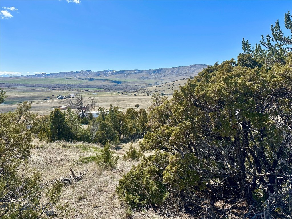 12193 Old Coach Road Property Photo 40