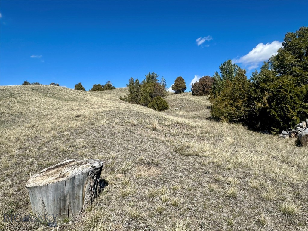 12193 Old Coach Road Property Photo 43