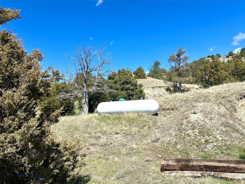12193 Old Coach Road Property Photo 43