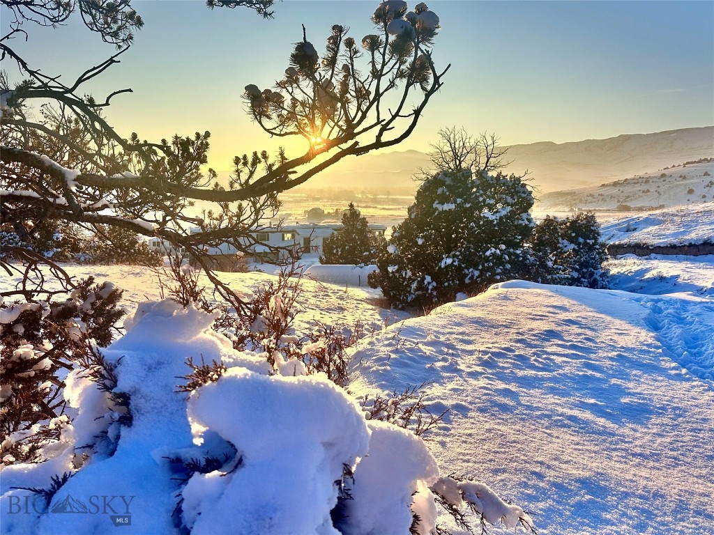 12193 Old Coach Road Property Photo 44