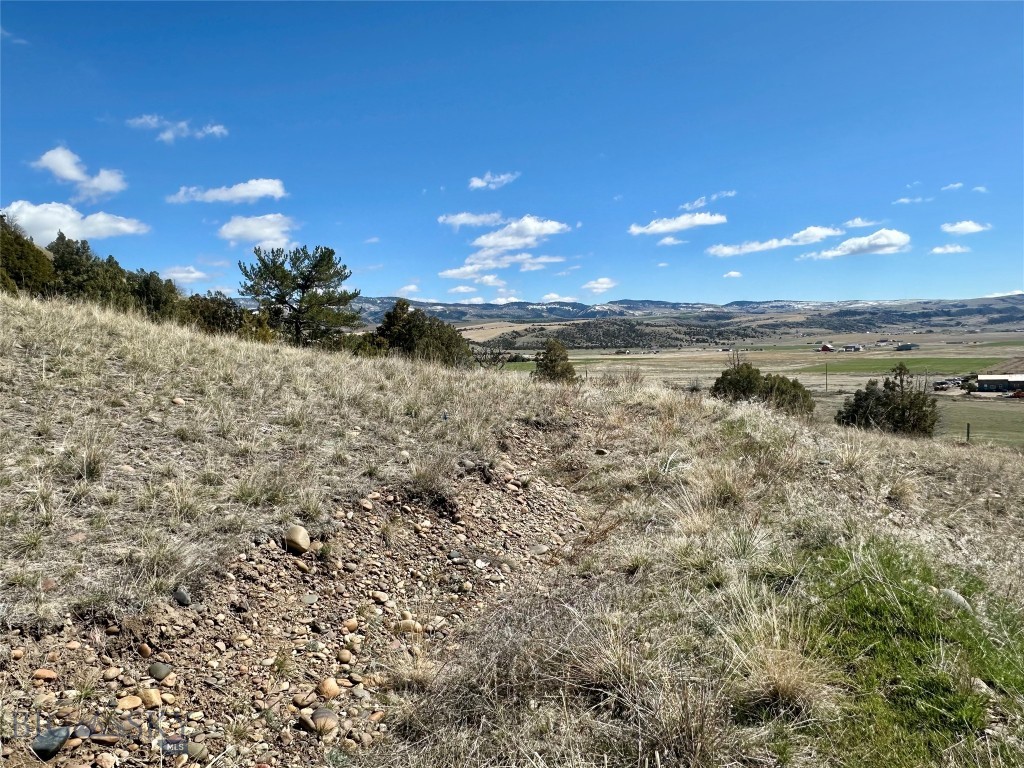 12193 Old Coach Road Property Photo 45