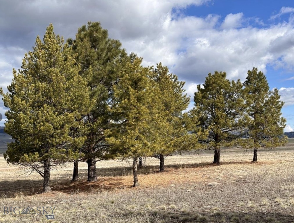Tract 60 Whiskey Flats Property Photo