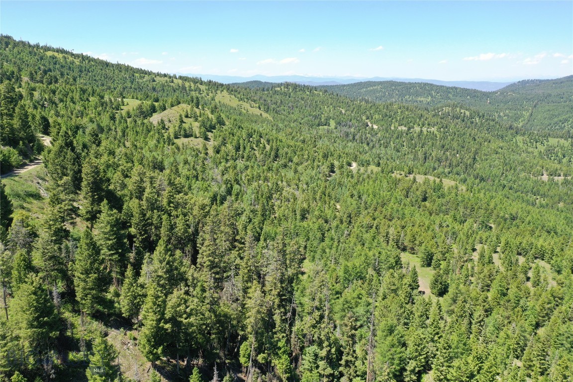 9 Garnet Range Tract Property Photo 4
