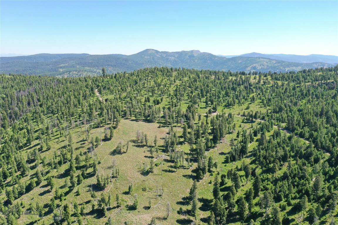 12 Garnet Range Tract Property Photo 7