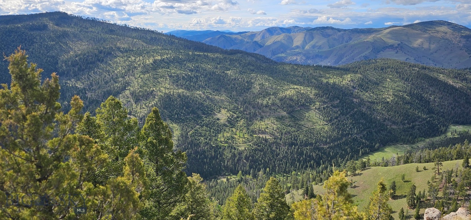 10 & 11 Bull Elk Tracts Property Photo