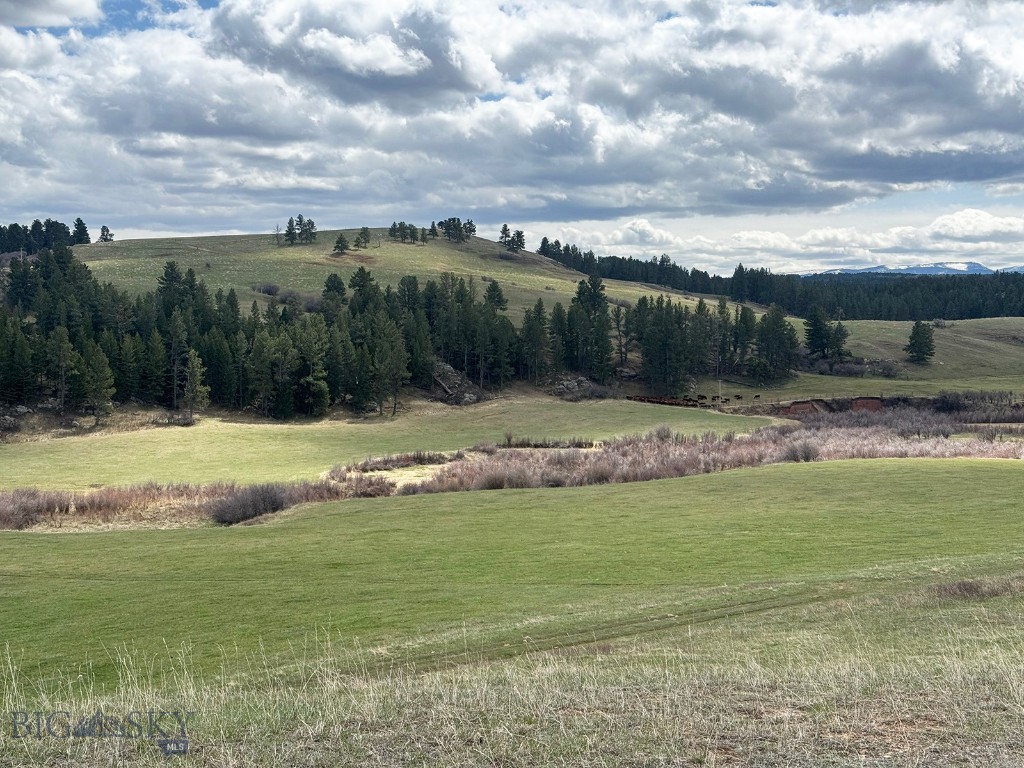 Tbd Casino Creek Road Property Photo 7