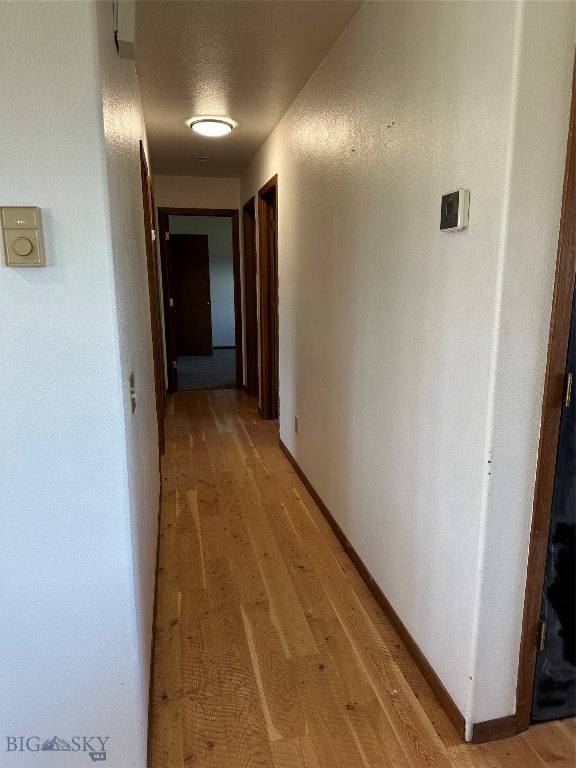 727 Mirza Way Property Photo 22