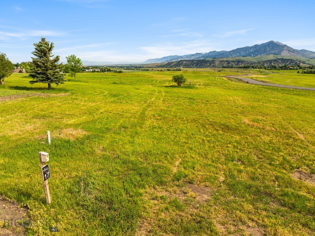 Tbd Lot 17 Boreal Way Property Photo 1