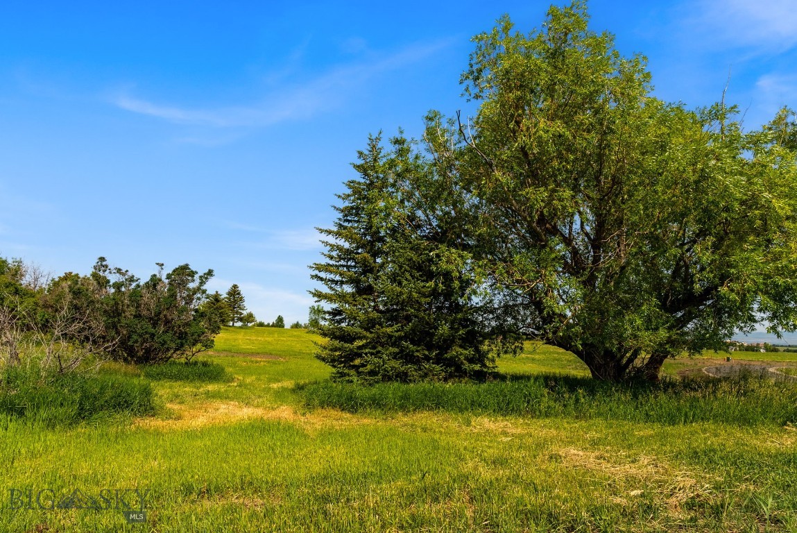 Tbd Lot 17 Boreal Way Property Photo 5