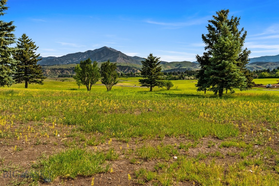 Tbd Lot 17 Boreal Way Property Photo 17