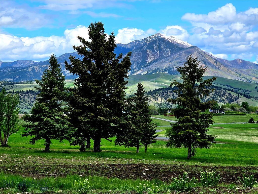 Tbd Lot 17 Boreal Way Property Photo 18