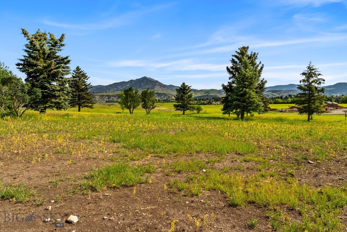 Tbd Lot 17 Boreal Way Property Photo 19