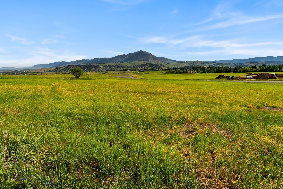 Tbd Lot 17 Boreal Way Property Photo 20
